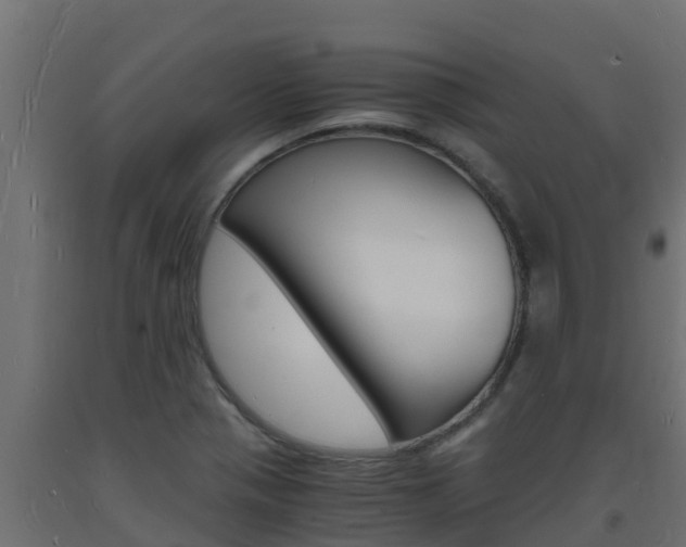 X0000093731321200710160805
