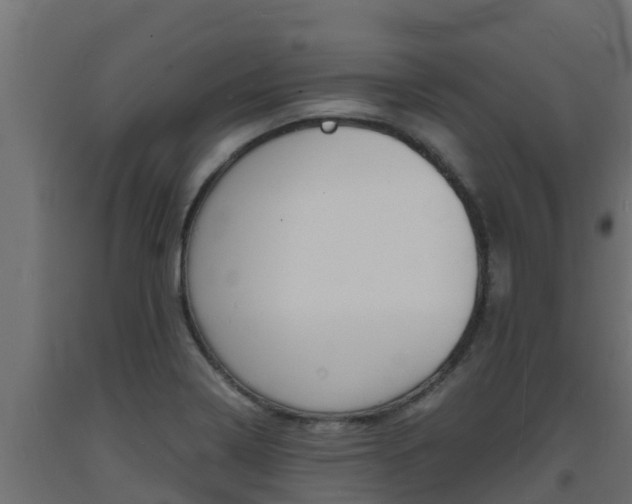 X0000093731322200710160805
