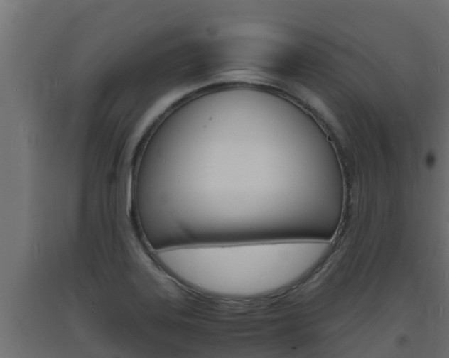X0000093731323200710160805