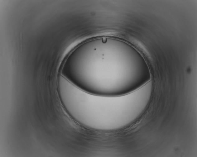 X0000093731324200710160805