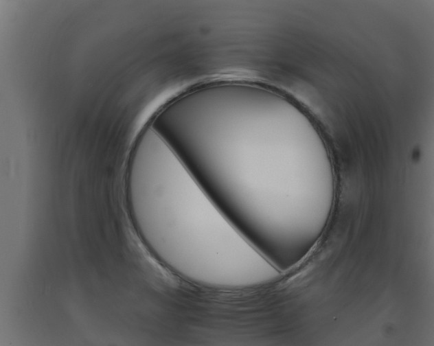 X0000093731325200710160805