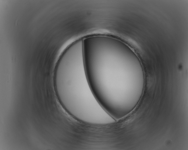 X0000093731326200710160805