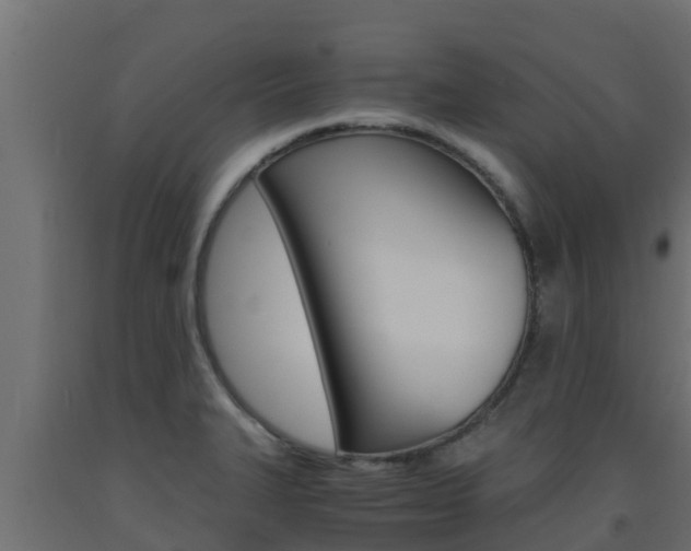 X0000093731327200710160805