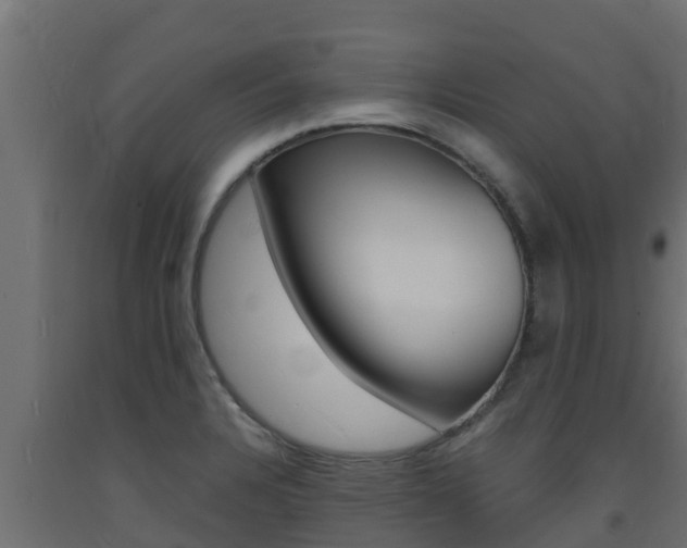 X0000093731328200710160805