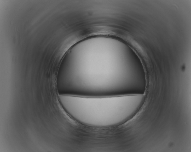 X0000093731329200710160805