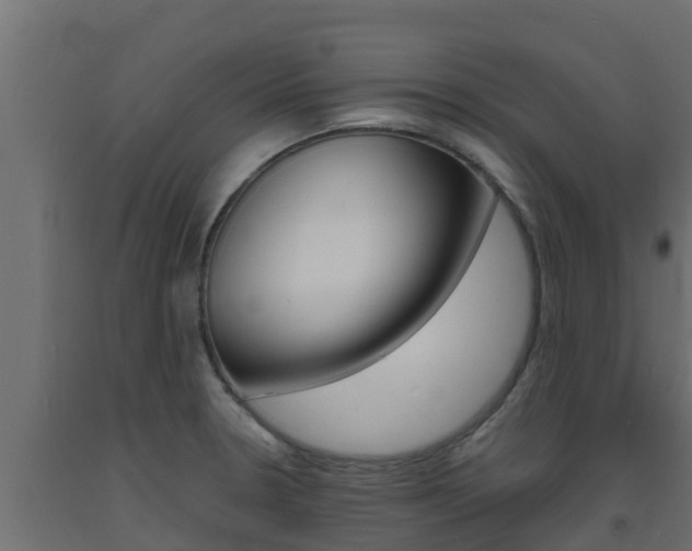 X0000093731330200710160805