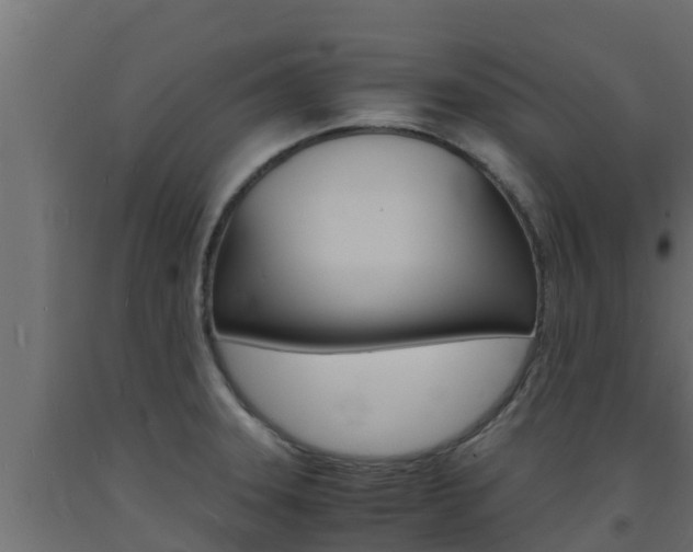 X0000093731331200710160805
