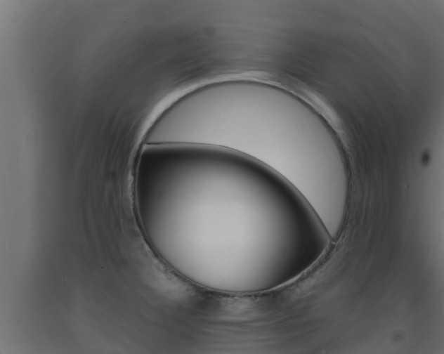 X0000093731332200710160805