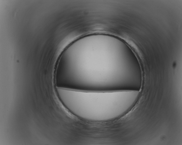 X0000093731333200710160805