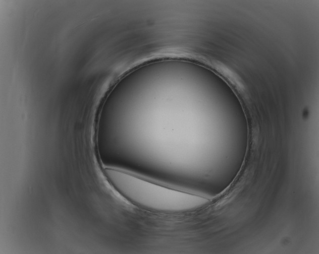 X0000093731334200710160805