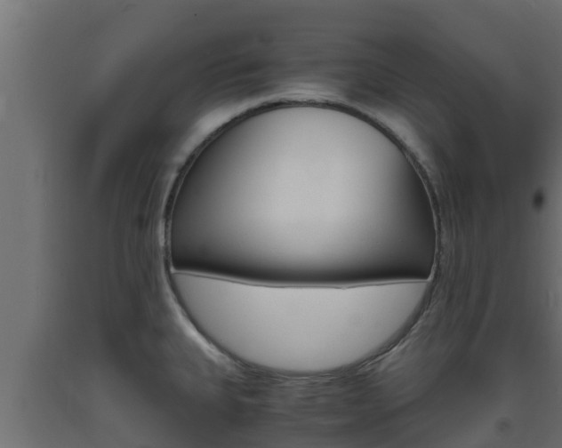 X0000093731335200710160805
