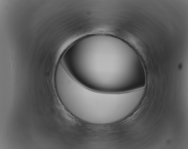 X0000093731336200710160805