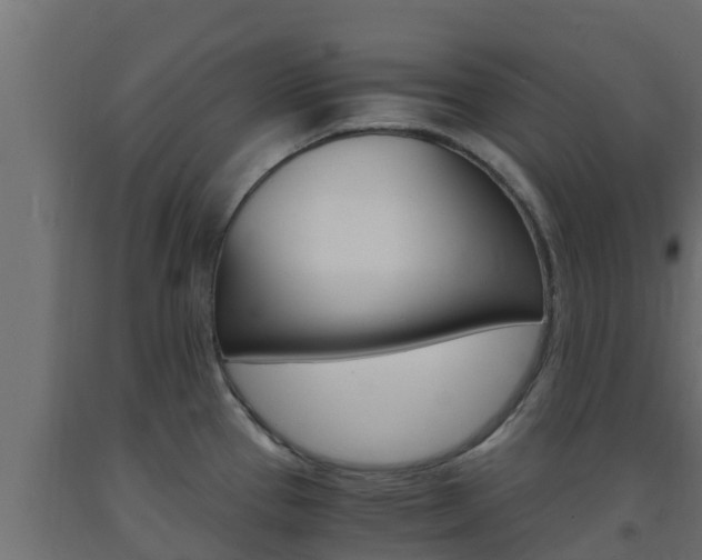 X0000093731337200710160805