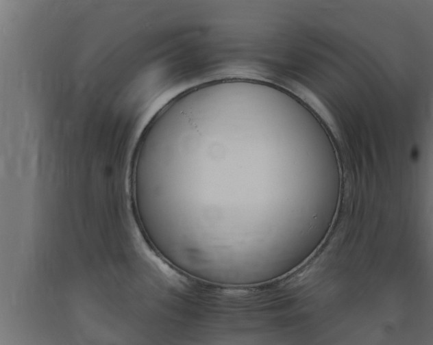 X0000093731339200710160805