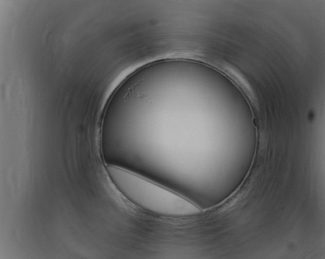 X0000093731340200710160805