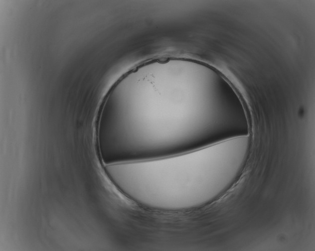 X0000093731341200710160805