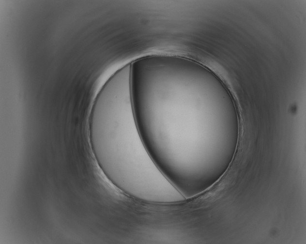 X0000093731344200710160805