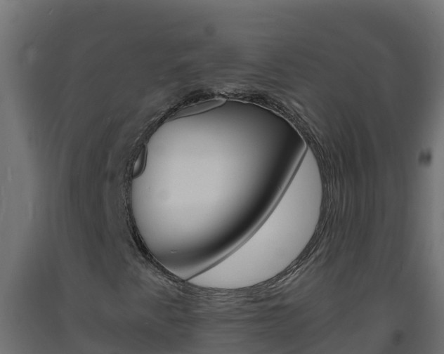 X0000093731345200710160804