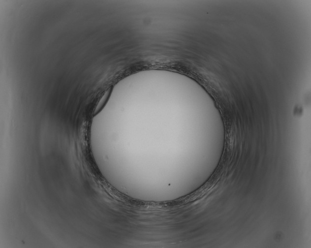 X0000093731346200710160804
