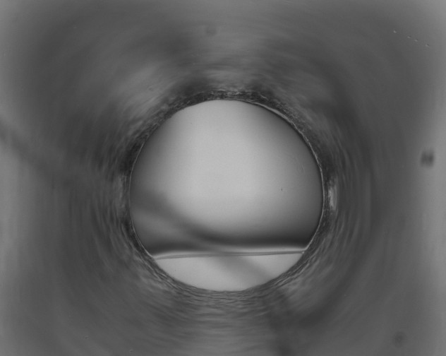 X0000093731347200710160804