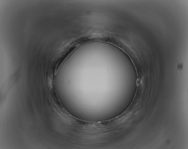 X0000093731348200710160804
