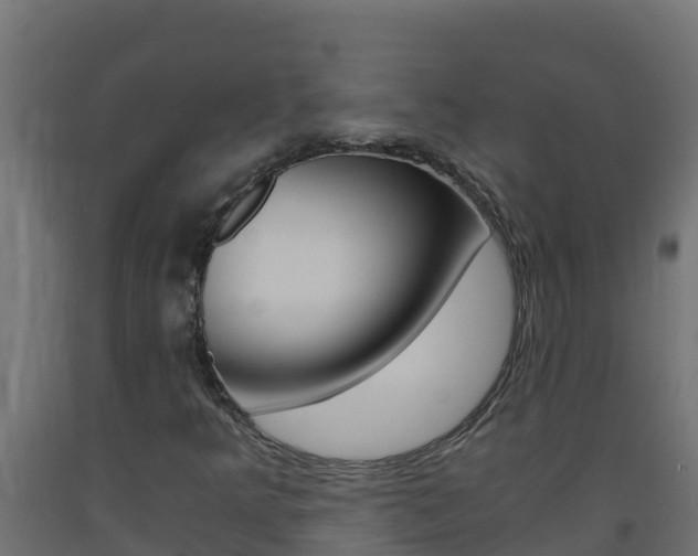 X0000093731349200710160804