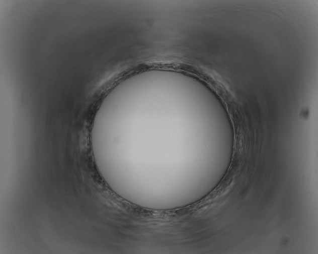 X0000093731350200710160804