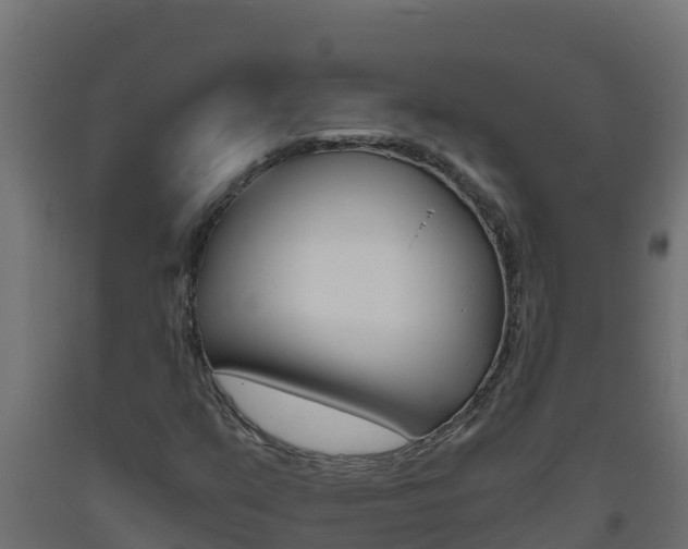 X0000093731351200710160804
