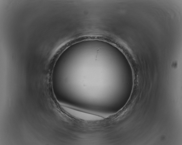 X0000093731352200710160804