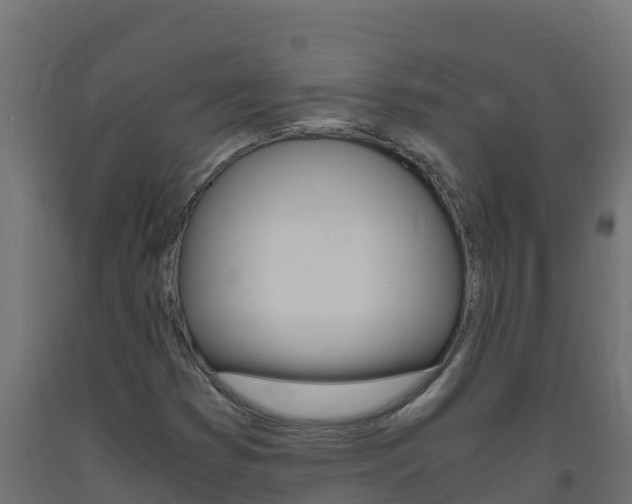 X0000093731353200710160804