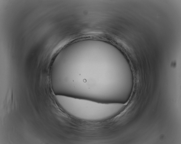 X0000093731354200710160804