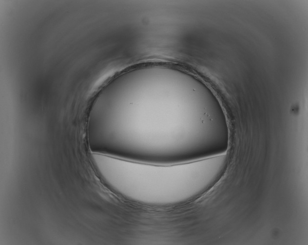X0000093731355200710160804