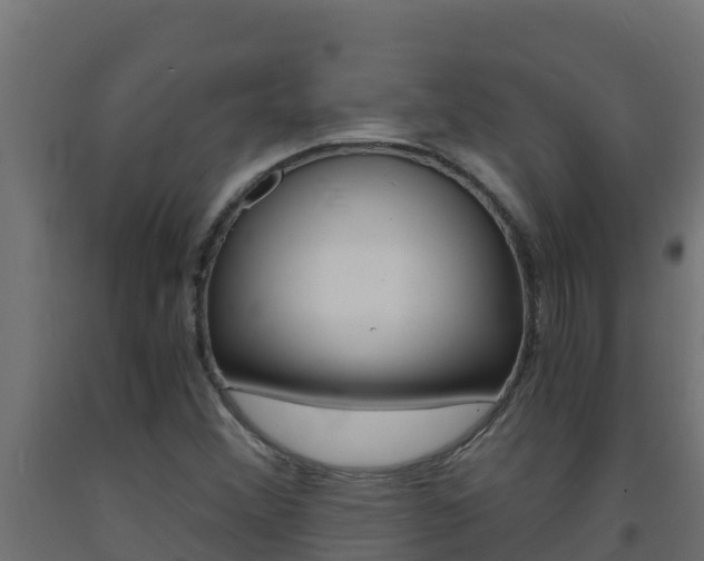 X0000093731356200710160804