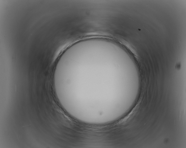 X0000093731357200710160804
