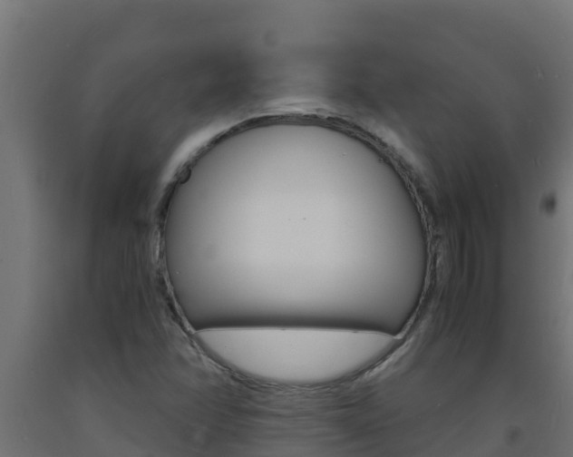 X0000093731358200710160804