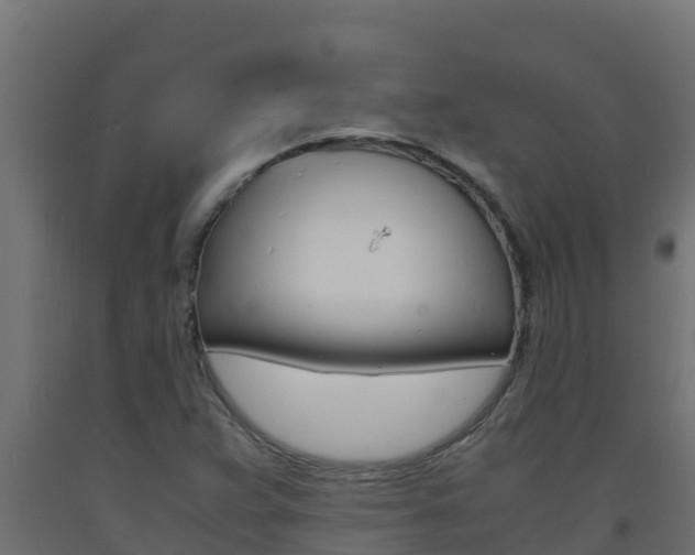 X0000093731359200710160804