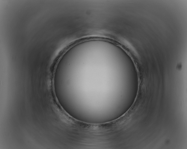 X0000093731360200710160804
