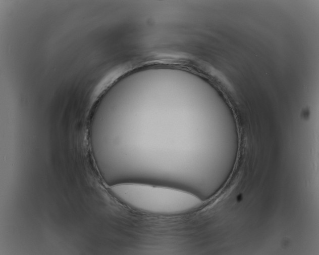 X0000093731362200710160804