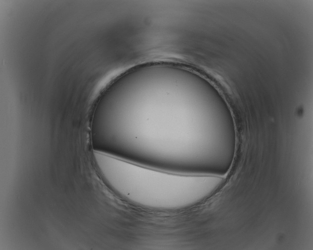 X0000093731363200710160804