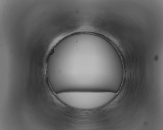 X0000093731366200710160804