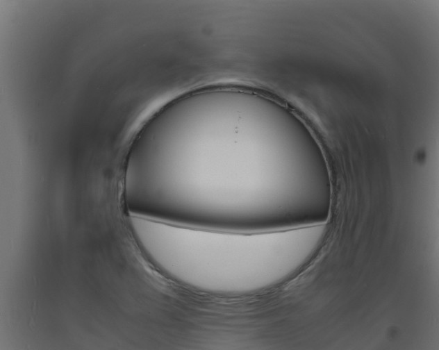 X0000093731367200710160804