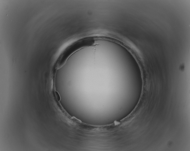 X0000093731368200710160804