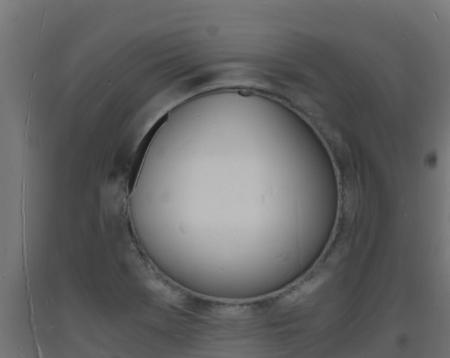 X0000093731369200710160804