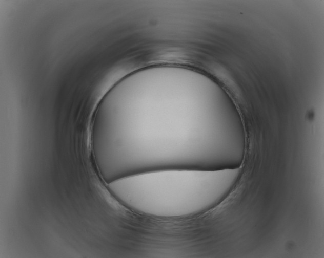 X0000093731370200710160804