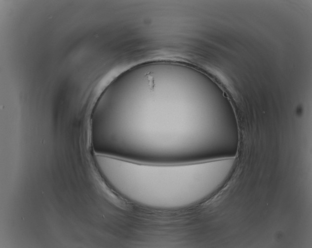 X0000093731371200710160804