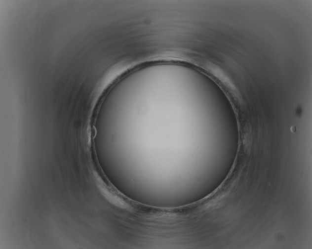 X0000093731372200710160804