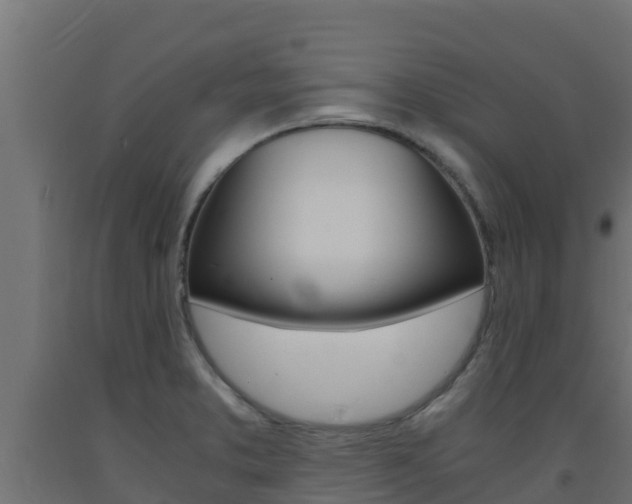 X0000093731373200710160804