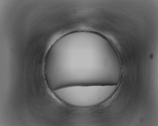 X0000093731374200710160804