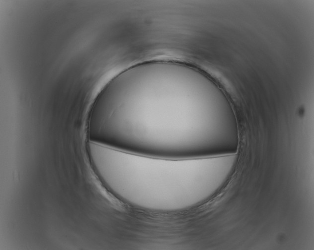 X0000093731375200710160804