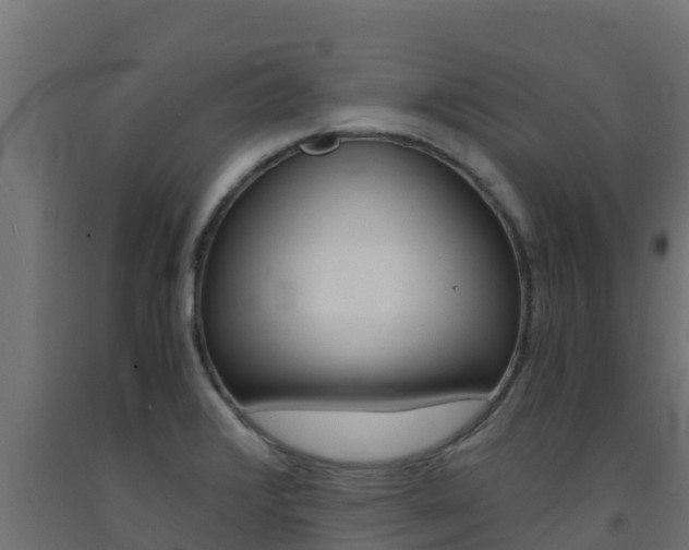 X0000093731376200710160804